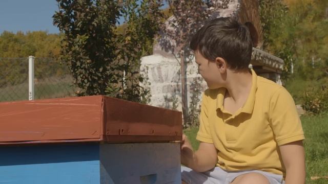 Pellumb Hajdari - Rokoko