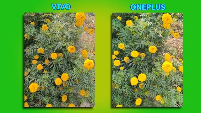 ViVO Y100 5G vs OnePlus Nord 2T Camera, PUBG, Battery, Display Comparison смотреть онлайн