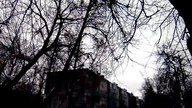 Мяукающая ворона! смотреть онлайн