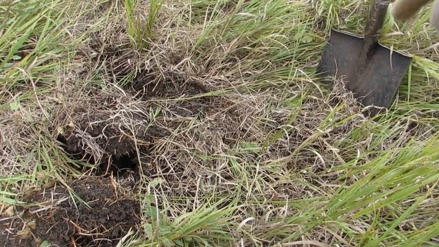 Нашел большую кучу металла за 2 часа смотреть онлайн