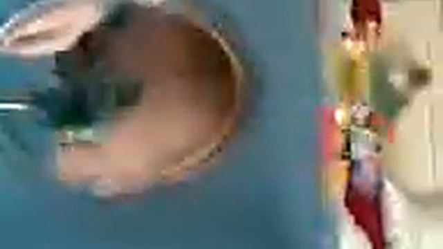 David Hackl und seine Spieluhr смотреть онлайн