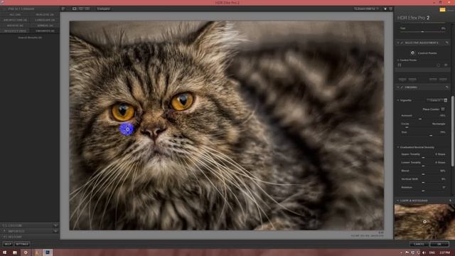 Crazy Cat Tutorials 05 By Stopbox [Photoshop CC,HDR EFEX Pro 2] смотреть онлайн