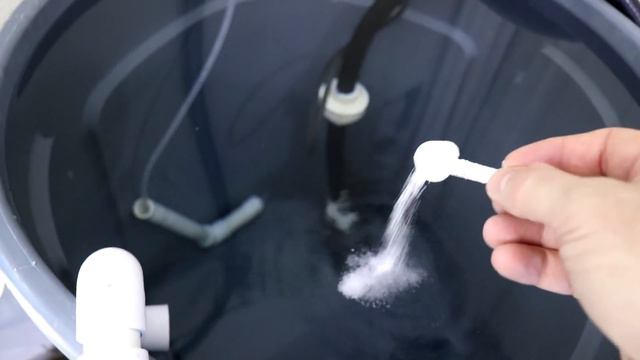 HOW TO Setup Crystal Red and Black Shrimp Tank and Caridinia смотреть онлайн