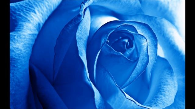 Toña la negra - Azul смотреть онлайн