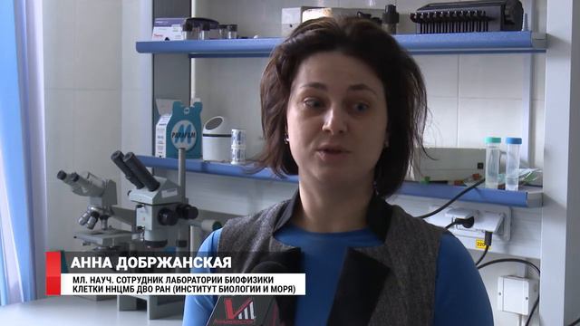 «Мыслю. Свободно»: Пространство логики и науки смотреть онлайн