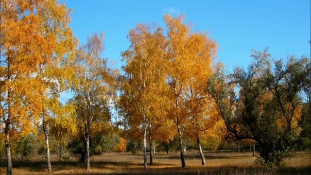 Autumn...ОСЕНЬ...Мои фото 2011....wmv смотреть онлайн