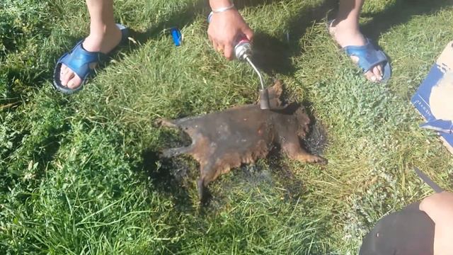 Тэрхийн цагаан нуур смотреть онлайн