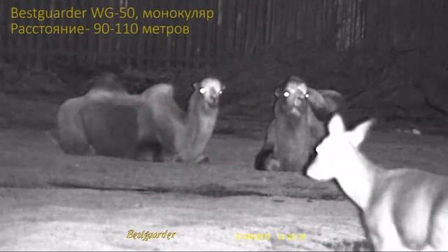 Прибор ночного видения Bestguarder WG 50 видео 40 и 110 метров смотреть онлайн