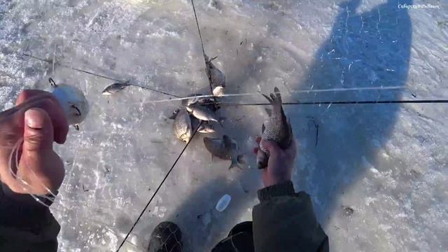 ПОРВАЛ ВСЕ ХАПУГИ, НО РЫБЫ ПОЙМАЛ! Весенняя рыбалка на хапуги в сибирской деревушке. Рыбалка 2023 смотреть онлайн