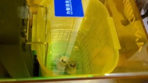 Я Офигел!! Лучшие Фотополимерные 3D Принтеры с Алиэкспресс! На Что Способен Фотополимерный 3д принт