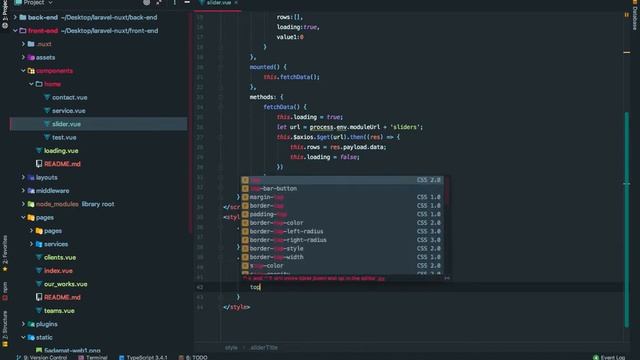 laravel nuxtjs company portfolio lesson 25 page title , slider title смотреть онлайн