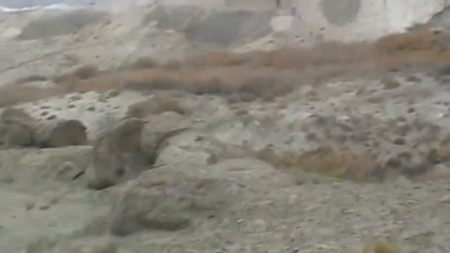 Модель планеты, шаровые конкреции, Тарасенко Геннадий, Бекет-Ата. смотреть онлайн