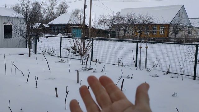 Вода в погребе. Кабачки еще не закончились. Снежное утро в деревне. Декабрь 2023 смотреть онлайн