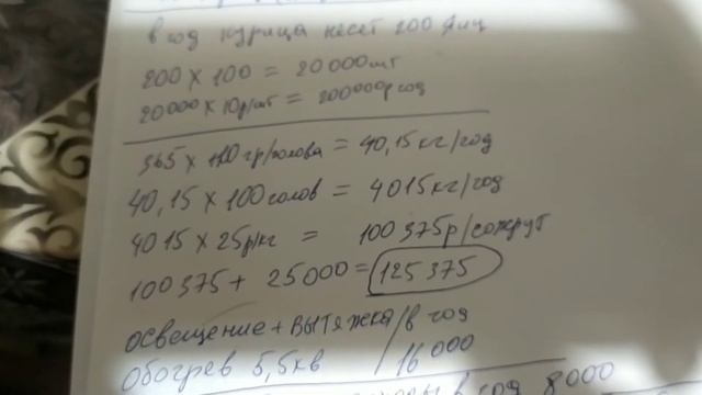 100 несушек как бизнес, выгодно или нет.