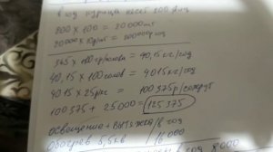 100 несушек как бизнес, выгодно или нет.