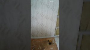 Отделка стен на кухне панелями пвх