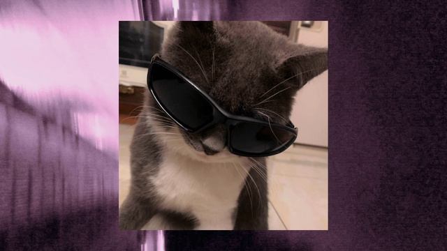 ДА, Я РУССКИЙ - НАВЕРНОЕ ПОЭТ, Ernest Merkel, Якоръ, EVEN CUTE |1 час смотреть онлайн