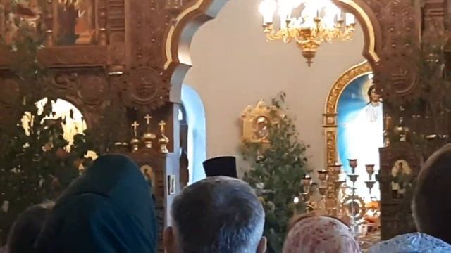 Проповедь настоятеля в храме Рождества Богородицы с.Талицы в день Святой Троицы. смотреть онлайн