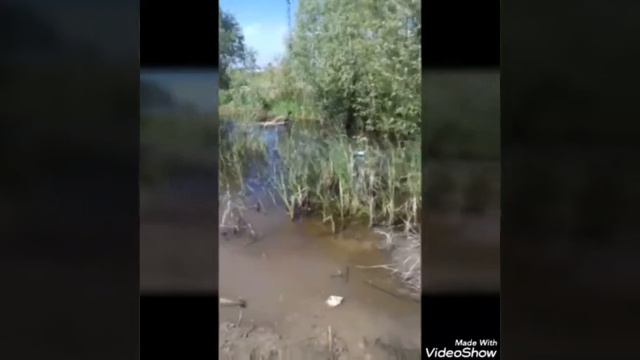 7 ноября 2016 г. смотреть онлайн