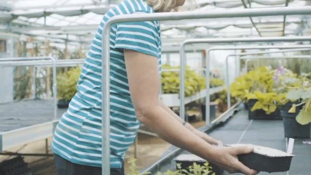 КАК СОЗДАЁТСЯ НАТУРАЛЬНАЯ КОСМЕТИКА WELEDA | ЭКОМАГАЗИН MERGOO (МЕРГО) смотреть онлайн