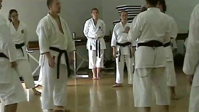 Shotokan Karate Kumite Training Edmond Otis смотреть онлайн
