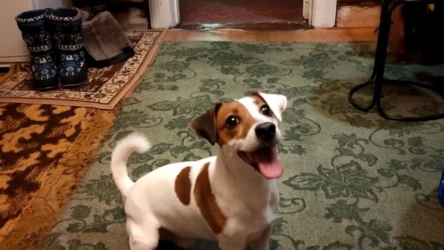 у нас в гостях на даче Семён)) смотреть онлайн