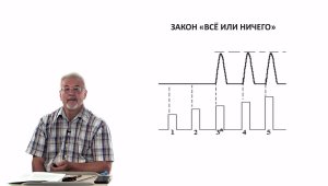 Евсеев А.В. Нормальная физиология. Лекция №2. Возбуждение клетки. 2023