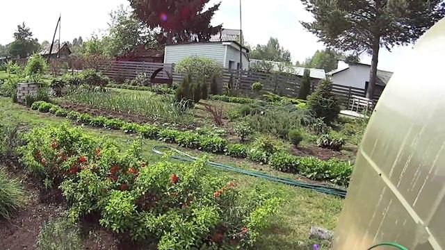 Колокольный звон над Оршей Сажаю капусту смотреть онлайн