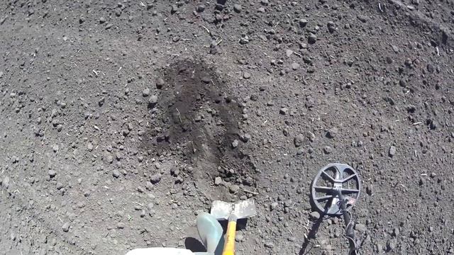 Не самый удачный выезд с Minelab EQUINOX, но всё же... смотреть онлайн