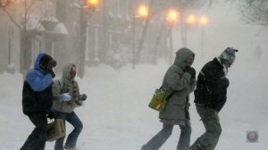 Поёт зима-аукает. Автор: Владимир Ядревский.