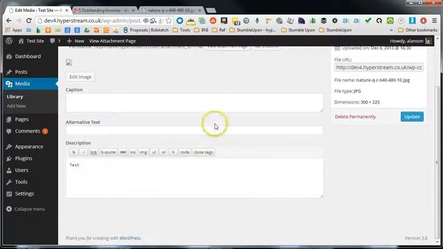 Managing media from WordPress the Admin panel смотреть онлайн