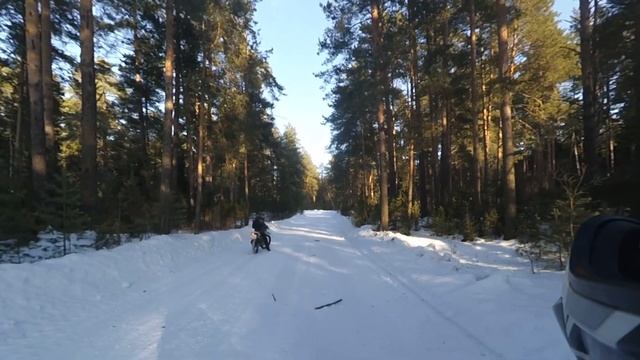 Зимняя покатушка 23.02.2020 KDX250/KL250/DR200/ИЖ К16