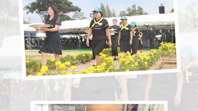 วิดิทัศน์นำเสนองานแสดงมุฑิตาจิตคุณหมอสมคิด วงศ์ชัย รพ.สต.พระธาตุขิงแกง วันที่ 1 ตุลาคม 2564 смотреть онлайн