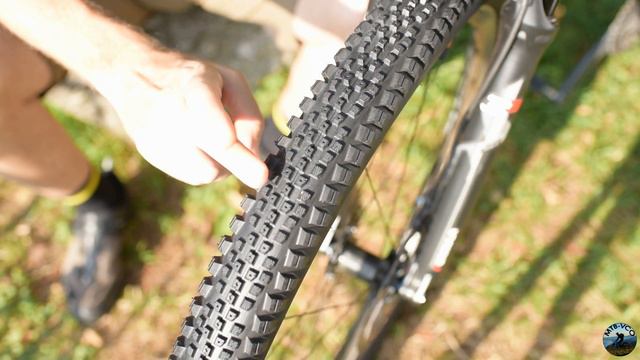 In Test: WTB Riddler TCS Light / Fast Rolling 29 X 2.25