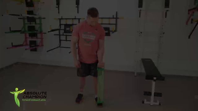 Упражнения для укрепления плечевого пояса на эспандере Т-5 смотреть онлайн