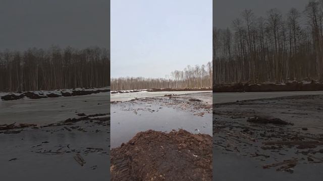 ТОРФОКАРЬЕР. Краткий обзор. Добыча низинного торфа.Дальнобой. Январь 2023. смотреть онлайн