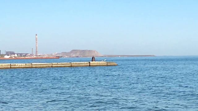 #МАРИУПОЛЬ#АЗОВСКОЕ МОРЮШКО 14 ОКТЯБРЯ🌞 смотреть онлайн
