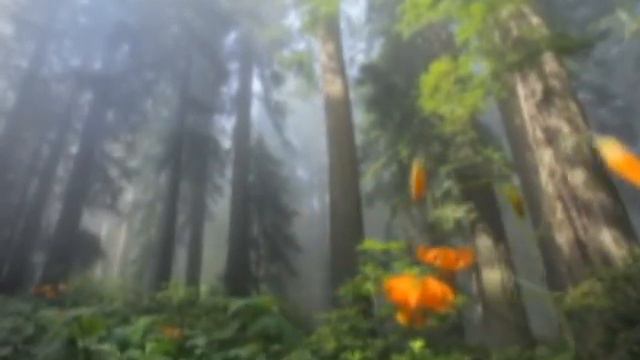 ...ДЕЛАЕМ АМУЛЕТ ДЛЯ ДЕНЕГ.... смотреть онлайн