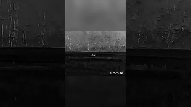 Правильно ли добывать только трофейные экземпляры? #охота #охотник #hunting смотреть онлайн