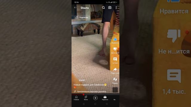 8 часть. Смотрим и продолжаем смотреть видео Симбочки Пимпочки😺🤗❤️😘😁😄😃😀🎀 смотреть онлайн