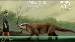 PALEOGENE PERIOD. Animals Size Comparison and Data