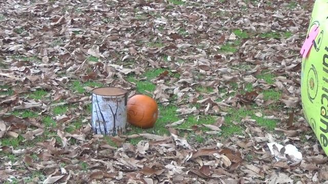 Bowtech Invasion CPX versus Pumpkin смотреть онлайн
