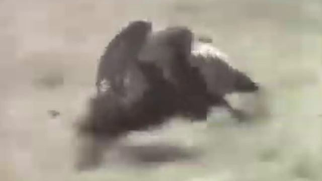 Самый быстрый мотоцикл смотреть онлайн