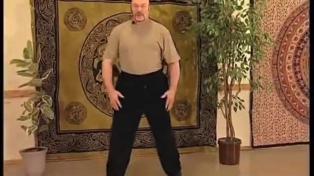 Chi Quong Exercises 2