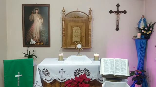 Воскресенье (23.01.2022). Венчик Божьему Милосердию. Святой Розарий смотреть онлайн