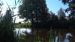 Ловля уклейки на реке Булатной удочкой Mikado Princess 630, оснащённой катушкой Trimm Sazava 920