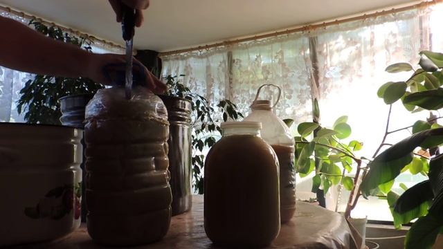 Как легко готовится медовая сыта/Пасека 2018/как легко размешать севший мёд