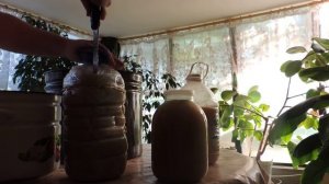 Как легко готовится медовая сыта/Пасека 2018/как легко размешать севший мёд