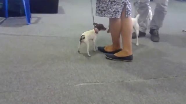 Первый выход в свет смотреть онлайн