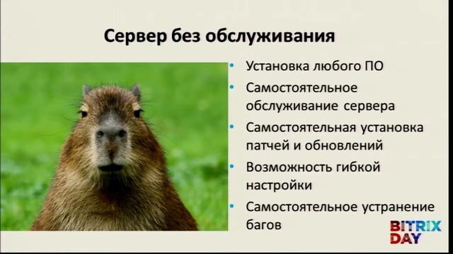 VPS сервер с обслуживанием или без него Какое решение будет оптимальным смотреть онлайн